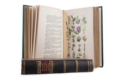Lot 666 - SOWERBY'S GRASSES OF GREAT BRITAIN and BRITISH WILD FLOWERS