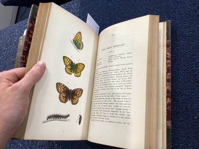 Lot 667 - MORRIS' HISTORY OF BRITISH BUTTERFLIES, ALONG WITH CURTIS' FARM INSECTS