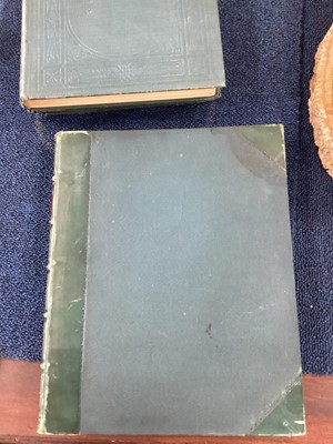 Lot 672 - FIVE VOLUMES RELATING TO MOSSES, FERNS AND TREES