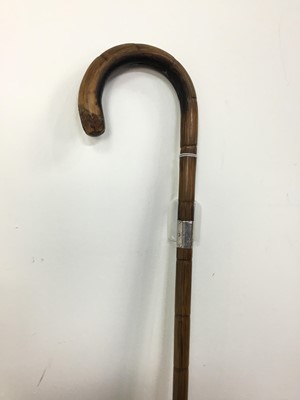 Lot 473 - A SILVER COLLARED WALKING STICK