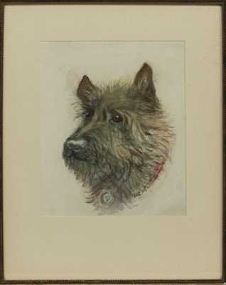 Lot 470 - SCOTTIE, AN EARLY 20TH CENTURY WATERCOLOUR