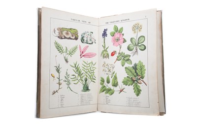 Lot 687 - THE INSTRUCTIVE PICTURE BOOK OR LESSONS FROM THE VEGETABLE WORLD