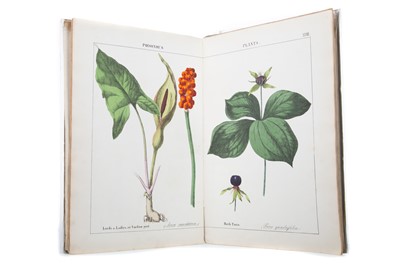 Lot 687 - THE INSTRUCTIVE PICTURE BOOK OR LESSONS FROM THE VEGETABLE WORLD