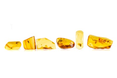 Lot 714 - COLLECTION OF BALTIC AMBER SPECIMENS