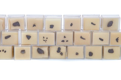Lot 716 - COLLECTION OF FRAGMENTARY METEORITE SPECIMENS