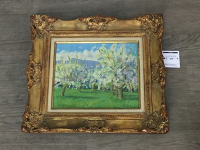 Lot 292 - ALMOND TREES, PROVENCE, AN OIL BY A FLOURET