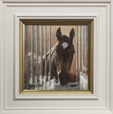 Lot 209 - THE FAVOURITE, AN OIL BY WILLIAM DOBBIE