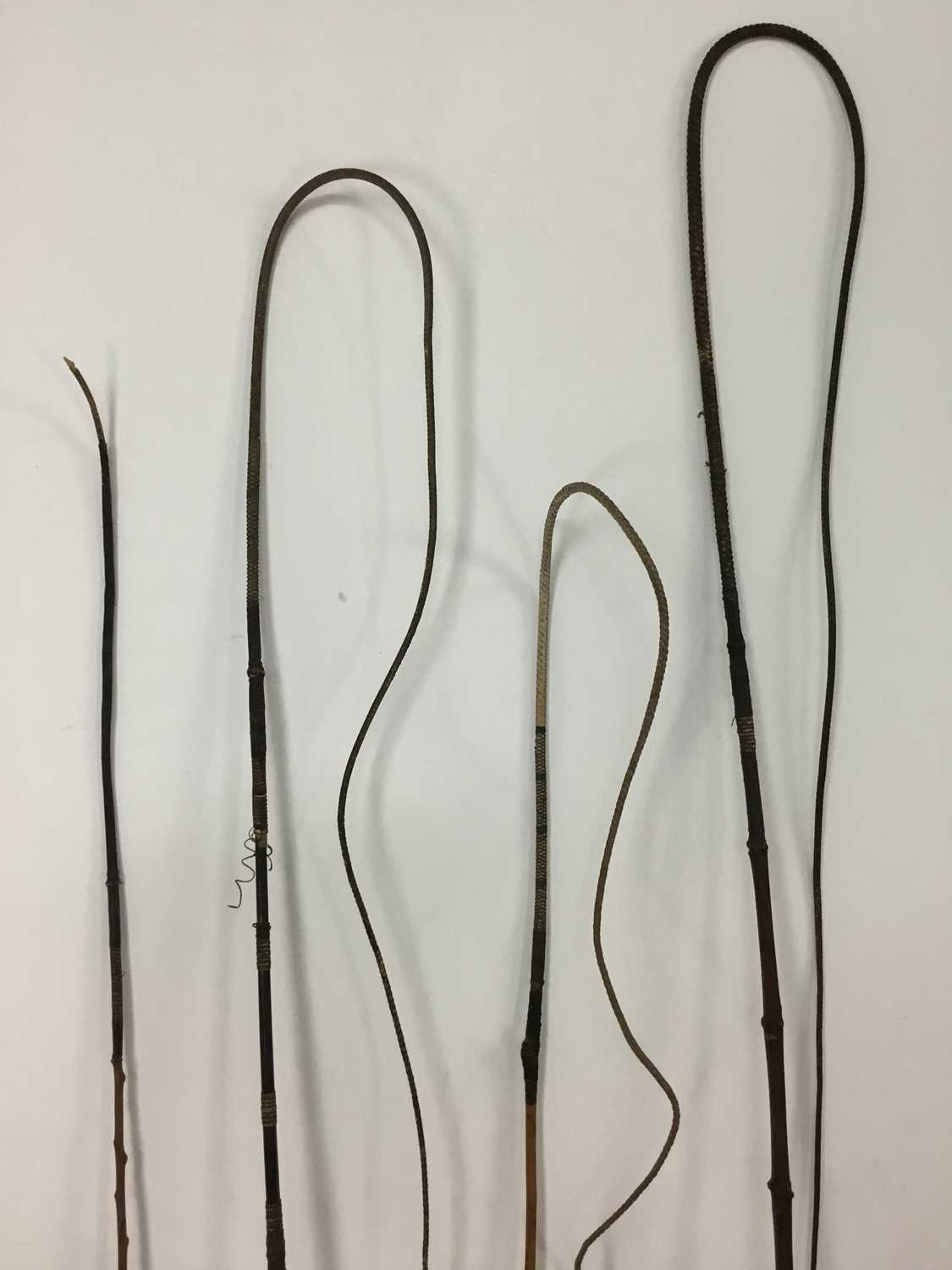 Lot 559 - FOUR 19TH CENTURY CARRIAGE DRIVING WHIPS