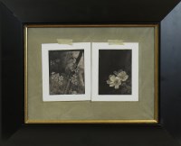 Lot 384 - * PAUL TELFORD, STILL LIFE WITH TREE AND...
