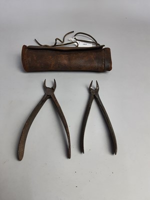 Lot 184 - TWO PAIRS OF EARLY 20TH CENTURY DENTAL PLIERS