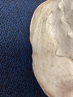 Lot 747 - A LARGE CONCH SHELL