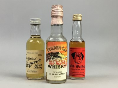 Lot 151 - 38 ASSORTED WHISKY MINIATURES - INCLUDING GLENFIDDICH SPECIAL OLD RESERVE IN GOLF TROLLEY