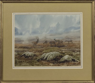 Lot 270 - HIGHLAND DEER, A WATERCOLOUR BY BRIAN RAWLING