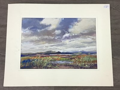 Lot 321 - WILDFLOWER LANSCAPE, A WATERCOLOUR BY WILLIAM NORMAN GAUNT