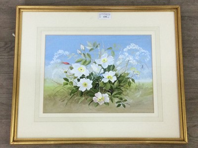 Lot 438 - A PAIR OF FLORAL STUDIES BY MARY BROWN