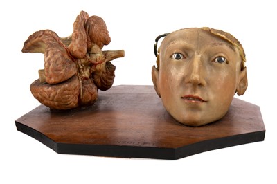 Lot 2 - A LATE 19TH CENTURY FRENCH WAX ANATOMICAL STUDY OF A HEAD AND PARTIAL-BRAIN