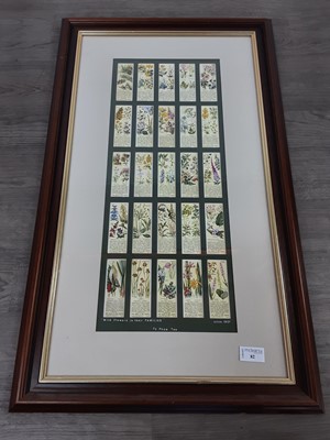 Lot 82 - A FRAMED CIGARETTE CARD COLLECTION
