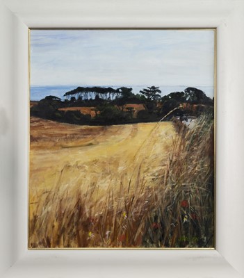 Lot 11 - FROM UPPER LARGO TO THE FORTH, AN OIL BY JANICE DALTON