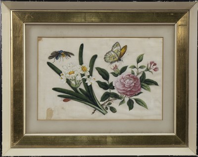 Lot 1120 - A SET OF SIX CHINESE QING DYNASTY PITH PAINTINGS
