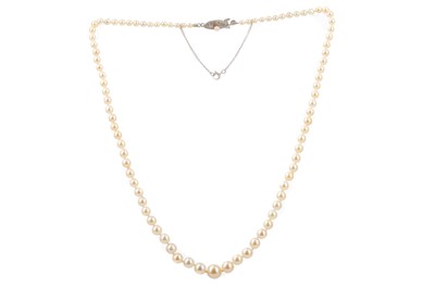Lot 704 - A CULTURED PEARL NECKLACE