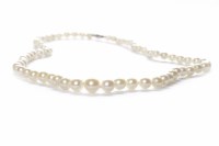 Lot 39 - TWENTIETH CENTURY PEARL NECKLACE formed by...