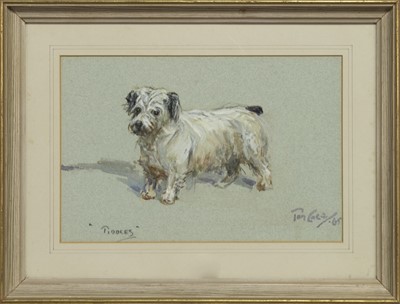 Lot 350 - TIDDLES, A WATERCOLOUR BY TOM CARR