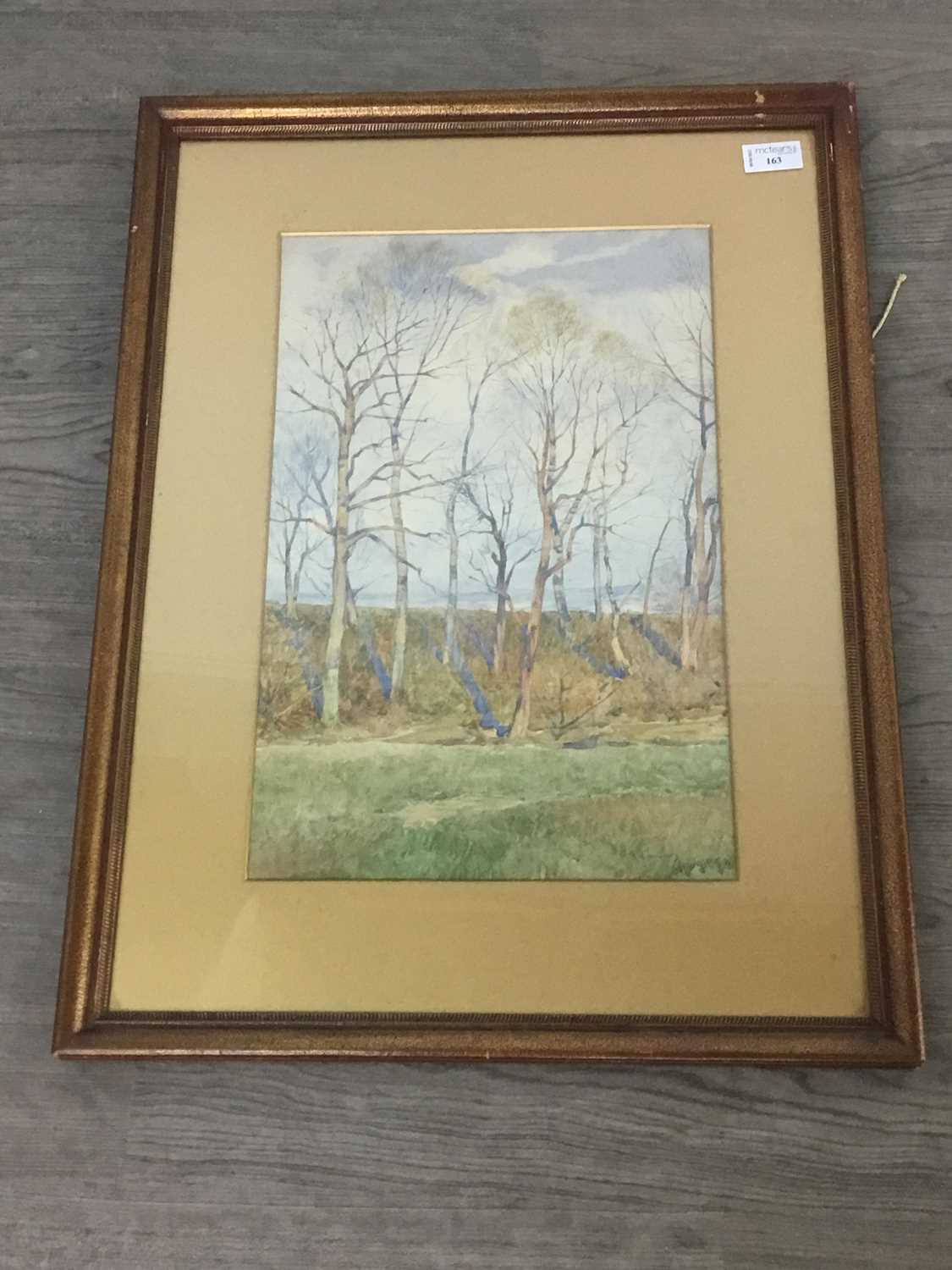 Lot 163 - TREES, A WATERCOLOUR BY ROBERT CLOUSTON YOUNG