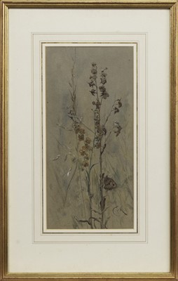 Lot 48 - GRASSES AND BUTTERFLY, A WATERCOLOUR BY EDWIN JOHN ALEXANDER