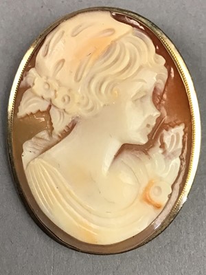 Lot 302 - A NINE CARAT GOLD CAMEO BROOCH