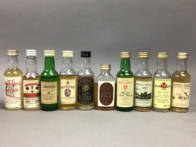 Lot 122 - 55 ASSORTED WHISKY MINIATURES - INCLUDING MACKINLAY'S