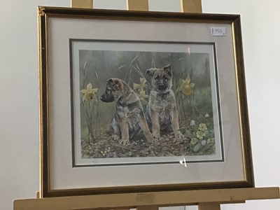 Lot 480 - TWO PRINTS OF DOGS, AND OTHER PRINTS