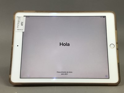Lot 451 - AN APPLE IPAD WITH CASE