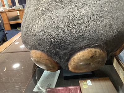 Lot 24 - AN EARLY 20TH CENTURY TAXIDERMY ELEPHANT'S FOOT STOOL