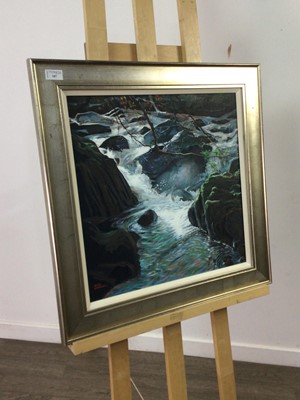 Lot 187 - WATERFALL BY ALEX GOURLAY