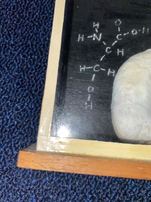 Lot 23 - AN UNUSUAL CLAY BUST OF A SCIENTIST