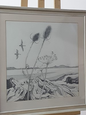 Lot 351 - TEASELS AND GEESE, A PENCIL SKETCH BY EWAN