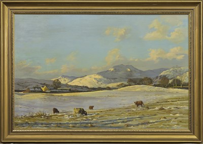 Lot 176 - BEN LEDI, NEAR CALLANDER, LOOKING WEST, AN OIL BY RICHARD FORSYTH