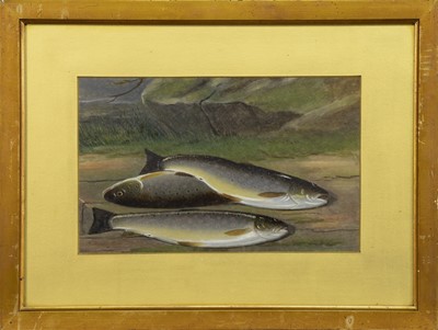 Lot 357 - TROUT, AN OIL BY ROBERT HARRINGTON