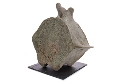 Lot 125 - A LARGE AND IMPRESSIVE FIN WHALE DORSAL VERTEBRA