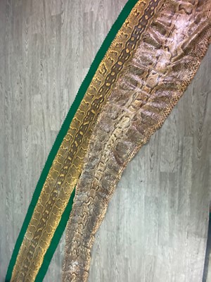 Lot 130 - TWO LARGE SNAKE SKINS