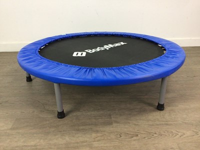 Lot 319 - AN INDOOR FITNESS TRAMPOLINE