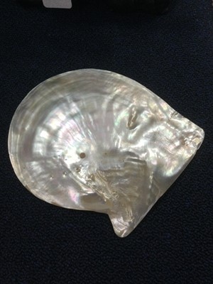 Lot 1050 - PAIR OF CHINESE CARVED MOTHER OF PEARL SHELLS
