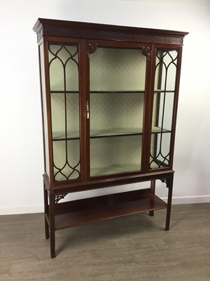 Lot 876 - AN EARLY 20TH CENTURY MAHOGANY DISPLAY CABINET