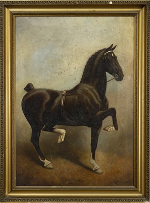 Lot 382 - THE HACKNEY SIRE, AN OIL BY HERBERT ST JOHN JONES