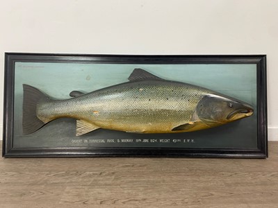 Lot 166 - AN EARLY 20TH CENTURY FOLK ART CARVED AND PAINTED WOOD MODEL OF AN ATLANTIC SALMON