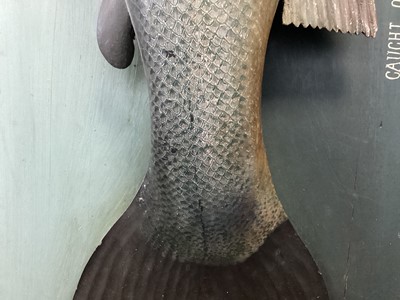 Lot 166 - AN EARLY 20TH CENTURY FOLK ART CARVED AND PAINTED WOOD MODEL OF AN ATLANTIC SALMON