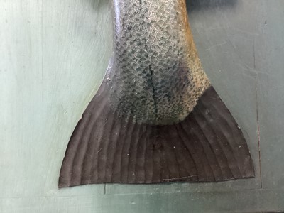 Lot 166 - AN EARLY 20TH CENTURY FOLK ART CARVED AND PAINTED WOOD MODEL OF AN ATLANTIC SALMON