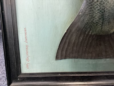 Lot 166 - AN EARLY 20TH CENTURY FOLK ART CARVED AND PAINTED WOOD MODEL OF AN ATLANTIC SALMON