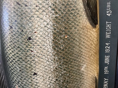 Lot 166 - AN EARLY 20TH CENTURY FOLK ART CARVED AND PAINTED WOOD MODEL OF AN ATLANTIC SALMON