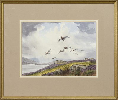 Lot 434 - GROUSE IN FLIGHT, A WATERCOLOUR BY JOHN CYRIL HARRISON